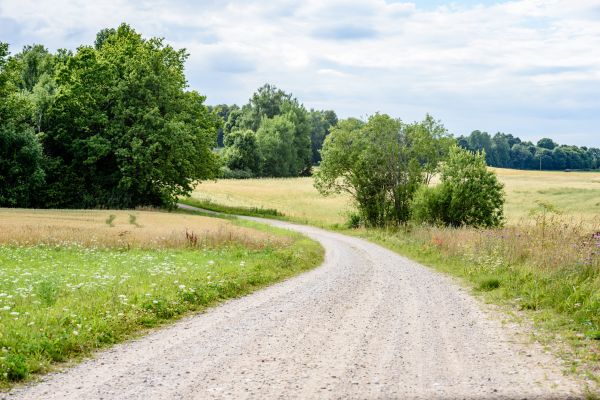 Cost of Stone Driveway Repair in Lake Stevens