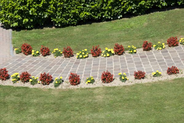 Cost of Garden Paving in Lake Stevens